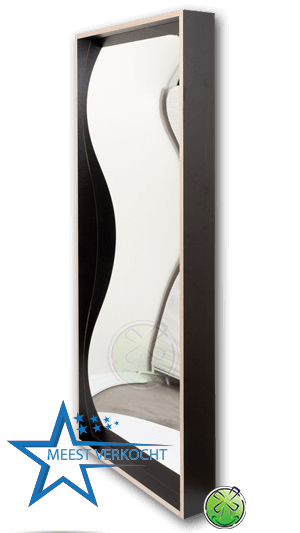 De lachspiegel zelf strak. Met andere woorden; geen logo's of kleine spiegeltjes (disco-effect) erop.